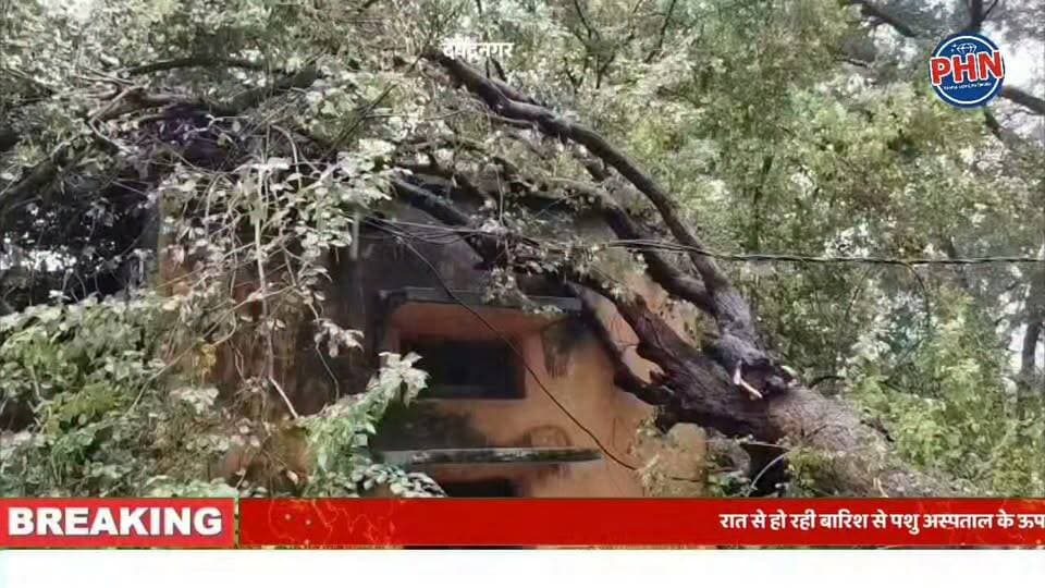 रातभर की बारिश बनी आफत, पशु अस्पताल की छत पर गिरा विशाल पेड़ देवेंद्रनगर में बिल्डिंग पर मंडराया गिरने का खतरा, बिजली तार भी टूटी,अस्पताल परिसर में 8 इंच पानी भरने से बढ़ा हादसे का खतरा, प्रशासन को दी सूचना