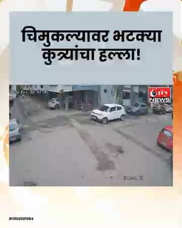 पिंपरी-चिंचवडमध्ये भटक्या कुत्र्यांचा धुमाकूळ; चिमुकला जखमी, हल्ल्याची घटना CCTV मध्ये कैद