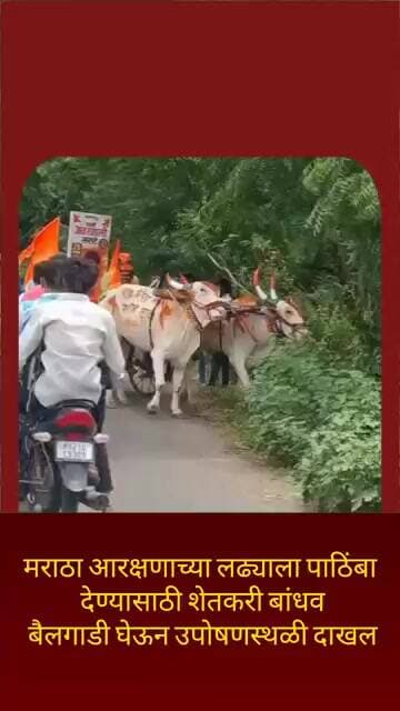 मराठा आरक्षणाच्या लढ्याला पाठिंबा देण्यासाठी शेतकरी बांधव बैलगाडी घेऊन उपोषणस्थळी दाखल