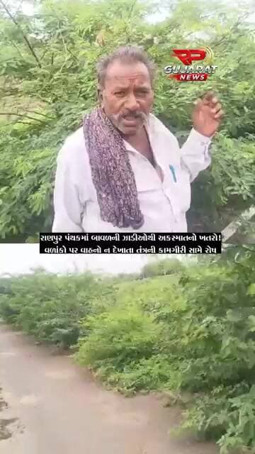 રાણપુર પંથકમાં રોડ પર બાવળની ઝાડીઓથી અકસ્માતનો ખતરો, તંત્રની બેદરકારી સામે રોષ