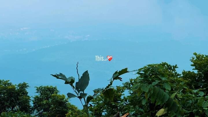 Hills ❤️
Follow for more @iujjwalmishraa
#explore #parasnathhills⛰️ #india #trending #nature