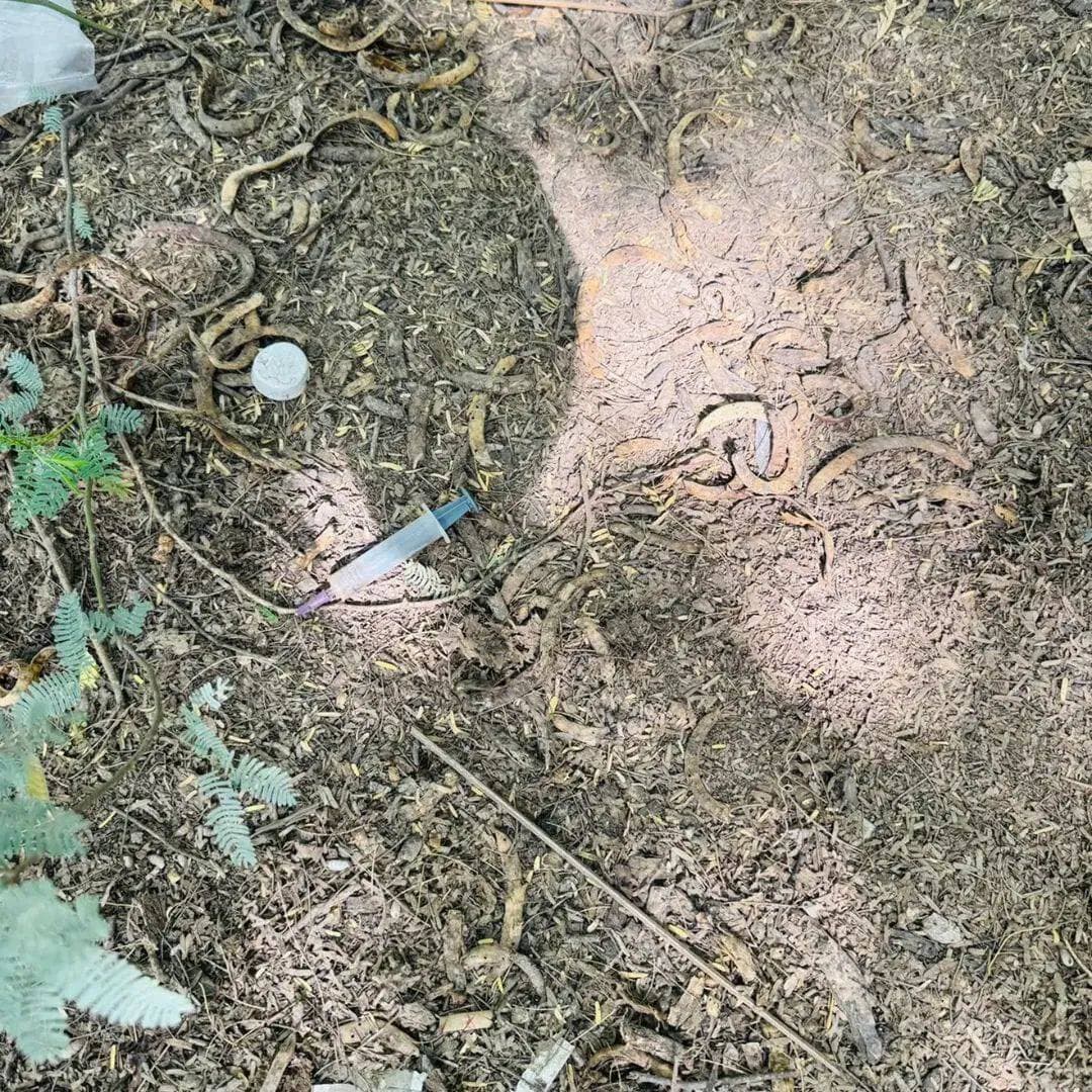 भुट्टो मोहल्ले के पुराने कब्रिस्तान में नशे और संदिग्ध गतिविधियों का आरोप, मोहल्लेवासियों ने प्रशासन से कार्रवाई की मांग
बीकानेर। वार्ड 53 के भुट्टो मोहल्ले स्थित पुराने कब्रिस्तान को लेकर मोहल्लेवासियों ने चिंता जताई है। शनिवार को मोहल्लेवासी अब्दुल मजीद ने आरोप लगाया कि दरगाह के पास स्थित इस कब्रिस्तान में कुछ लोग बैठकर नशा करते हैं और वहां संदिग्ध गतिविधियां होने की आशंका है।
अब्दुल मजीद के अनुसार, उन्हें कई बार कब्रिस्तान में नशा किए जाने की शिकायतें सुनने को मिली थीं। शनिवार को उन्होंने स्वयं मौके पर जाकर कुछ लोगों को वहां बैठे देखा। उनका दावा है कि मौके पर लाइटर, इंजेक्शन सहित नशे में इस्तेमाल होने वाली कुछ संदिग्ध वस्तुएं भी पड़ी मिलीं।
उन्होंने यह भी बताया कि कब्रिस्तान में कुछ गद्दे बिछे हुए मिले हैं और कुछ लड़के-लड़कियों के वहां आने-जाने की बात भी सामने आई है। हालांकि, इन गतिविधियों की वास्तविक स्थिति की पुष्टि जांच के बाद ही हो सकेगी।
अब्दुल मजीद ने बताया कि उनके पास मौके का वीडियो भी मौजूद है, जिसे वे मोहल्लेवासियों और संबंधित अधिकारियों के समक्ष प्रस्तुत करने को तैयार हैं।
उन्होंने कहा कि कब्रिस्तान में उनके बुजुर्गों की कब्रें हैं और यह स्थान मोहल्ले के लोगों के लिए बेहद पवित्र और भावनात्मक महत्व रखता है। ऐसे में वहां नशा या किसी भी प्रकार की गैरकानूनी गतिविधि की आशंका गंभीर चिंता का विषय है।
मोहल्लेवासियों ने पुलिस और प्रशासन से कब्रिस्तान की स्थिति की जांच कराने, निगरानी बढ़ाने तथा यदि कोई गैरकानूनी गतिविधि सामने आती है तो संबंधित लोगों के खिलाफ कार्रवाई करने की मांग की है।
अब्दुल मजीद ने वार्ड 53 में चुनाव प्रचार कर रहे प्रत्याशियों से भी अपील की कि वे एक बार कब्रिस्तान का निरीक्षण कर इसकी स्थिति देखें और इसकी सुरक्षा एवं साफ-सफाई को लेकर ठोस पहल करें।
उन्होंने कहा कि बुजुर्गों की कब्रों की हिफाजत और कब्रिस्तान की पवित्रता बनाए रखना पूरे मोहल्ले की सामूहिक जिम्मेदारी है।
बीकानेर की हर छोटी-बड़ी खबर से रहें अपडेट। ऐसी ही सटीक और ताज़ा खबरों के लिए JBN NEWS BIKANER को अभी Follow करें। 👍
#bikaner #bikanernews #jbnnewsbikaner JBN News Bikaner