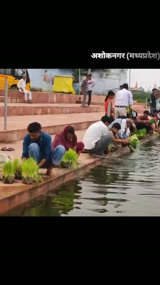 अशोकनगर में धूमधाम से मनाया गया भुजरिया पर्व
#ashoknagar #NewsUpdate #local #fb #fbreels