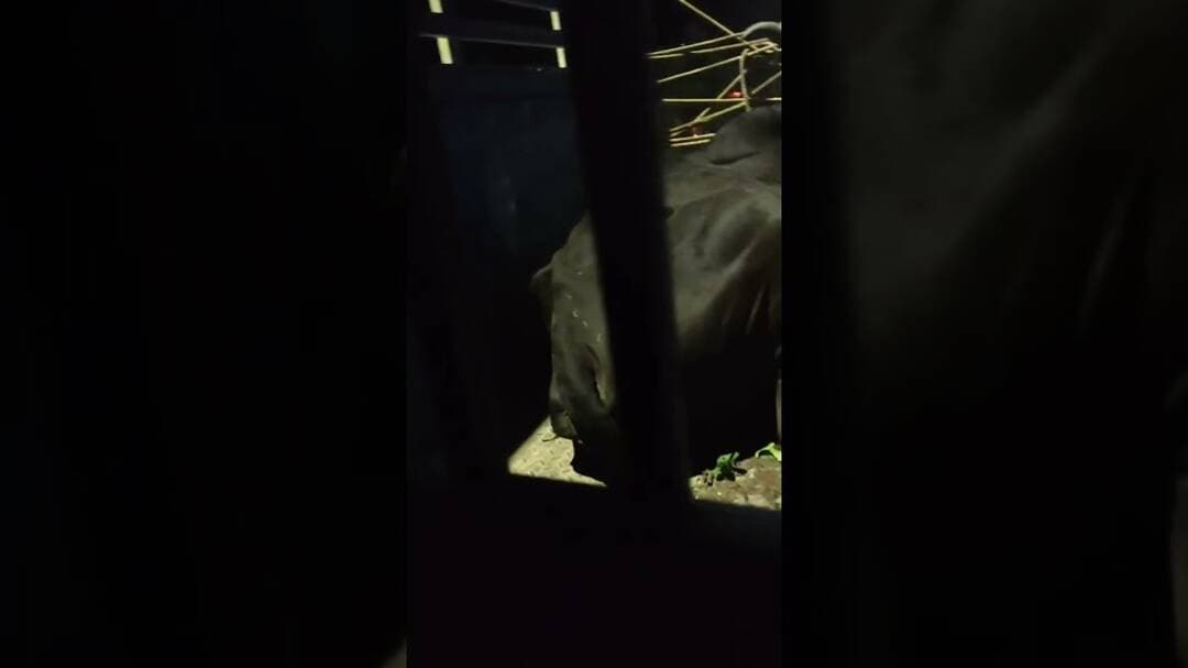 #shorts #viral #viralvideo #feedshorts