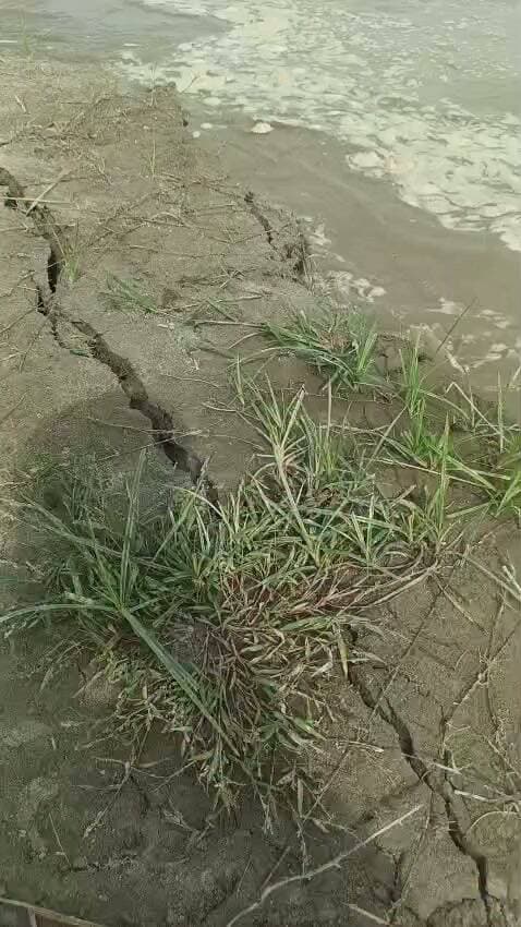 क़दम नगला के बाद अब रैपुरा पर गंगा का कटान तेज हुआ, क़दम नगला में पंचायत घर के समीप पहुंची गंगा आधा क़दम नगला कर दिया बेघर