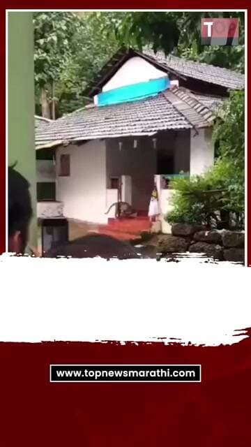 GOA BIBATYA NEWS:गोव्यातील फोंडा तालुक्यात घरात घुसतांना लोखंडी दरवाजात बिबट्या अडकला