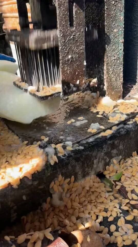 🍬 Traditional White Pumpkin Sweet (Petha) Making 😍 | Famous Indian Sweet
#Petha #PethaMaking #WhitePumpkinSweet #IndianSweets #SweetMaking #DesiSweets