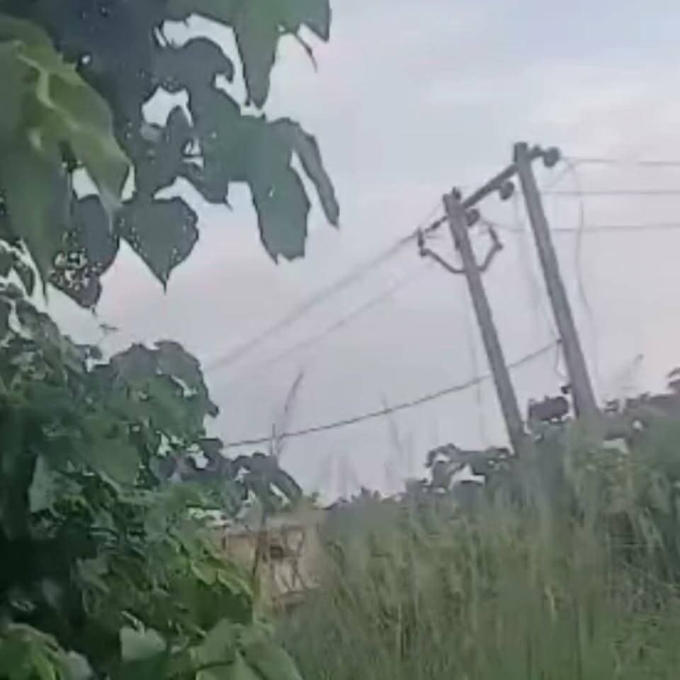 गोंडा में जगह जगह बिजली की फर्जी लाइनों का जाल
लाइनमैन से अभियंता तक बिजली विभाग को लूटने में लगे
नवाबगंज में बिजली की एक और फर्जी लाइन की खुली पोल
डालीपुरवा से तुलसीपुर तक 5 खम्भो की फर्जी लाइन
बिना योजना बिना किसी एस्टीमेट के गाड़ दिए खम्भे
खम्भे पर 10 किलोवाट का ट्रांसफार्मर भी टांगा
Exn तक पहुंचा मामला, जाँच भी हुई पर कार्रवाई नहीं
3 महीने पहले भी इसी इलाके में पकड़ी गई थी फर्जी लाइन
प्लांट को बिजली देने के लिए खींचे गए थे तार
जांच में संविदा कर्मी को नापा बाकी सब को बरी कर दिया
गोंडा में नाम के मुख्य अभियंता किसी काम के नहीं
उन्हीं की नाक के नीचे जेई, एसडीओ, Exn कर रहे खेल
#Gonda #ElectricityDepartment #ElectricityScam #FakeElectricityLine #Corruption #Nawabganj