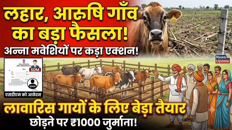 #लहार में गौ माता को लेकर इस गांव में हुआ ऐसा ,,गांव वालों ने मिलकर किया ऐसा ,, गौ वंश से परेशान ग्रामीण,,