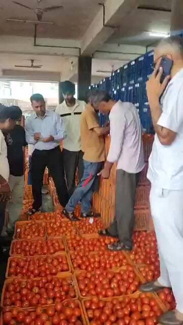टॉप की बोली टमाटर की सोलन सब्जी मंडी में #solan