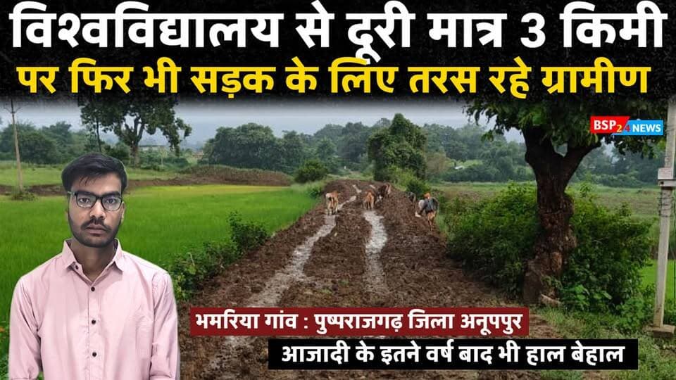 अनूपपुर में विश्वविद्यालय से महज 3 किमी दूर, फिर भी सड़क के लिए तरस रहा भमरिया गांव ! IGNTU PUSHPRAJGARH ANUPPUR
अनूपपुर जिले की पुष्पराजगढ़ तहसील अंतर्गत ग्राम पंचायत लालपुर पूर्व का भमरिया गांव आजादी के 80वें वर्ष में भी पक्की सड़क जैसी बुनियादी सुविधा से वंचित है।
बारिश में मुख्य रास्ता कीचड़ से भर जाता है, हालात ऐसे कि साइकिल तक निकालना मुश्किल हो जाता है। इसी रास्ते से ग्रामीणों को बाजार, स्कूल, अस्पताल और अन्य जरूरी सेवाओं तक जाना पड़ता है।
हैरानी की बात यह है कि गांव विश्वविद्यालय से महज 3 किलोमीटर की दूरी पर है। शोध और सर्वे के लिए यहां विद्यार्थी और शोधकर्ता पहुंचते रहे हैं, लेकिन ग्रामीणों का सवाल है—जब हमारी समस्याएं वर्षों से देखी और दर्ज की जा रही हैं, तो विकास आखिर कब पहुंचेगा?
ग्रामीणों ने कई बार सड़क निर्माण की मांग उठाई, लेकिन अब तक ठोस समाधान नहीं हो सका।
ग्रामीणों की मांग—हमें सिर्फ शोध का विषय नहीं, विकास का हिस्सा बनाया जाए और गांव तक पक्की सड़क बनाई जाए।
📍 स्थान: भमरिया गांव, ग्राम पंचायत लालपुर पूर्व, तहसील पुष्पराजगढ़, जिला अनूपपुर (मध्य प्रदेश)
#Anuppur #Pushprajgarh #MadhyaPradesh #Bhamariya #RoadProblem
