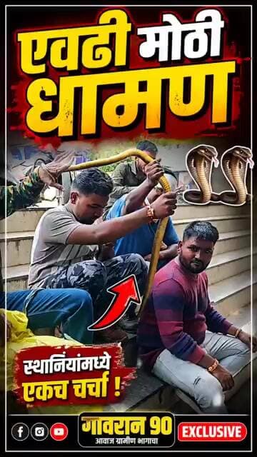 Life In Melghat पहा सर्पमित्रांनी केवढी धामण पकडली #snake #Gavran90