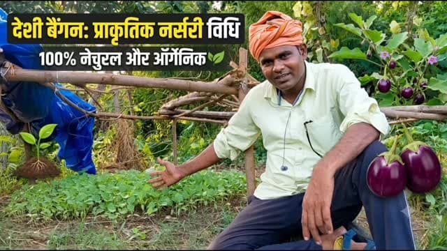 देशी बैंगन की नर्सरी हम प्राकृतिक विधि से तैयार कर रहे हैं। 🌱🍆 #देसीबैंगन #नर्सरीवाला🔝🌱💯 तैयार #farminglifetrending_reels_💸kisan_desi🧒_👳❤️ #shortreelvideo🙏❤️ #farminglife🌾👨🌾 Yogendra Prajapati
