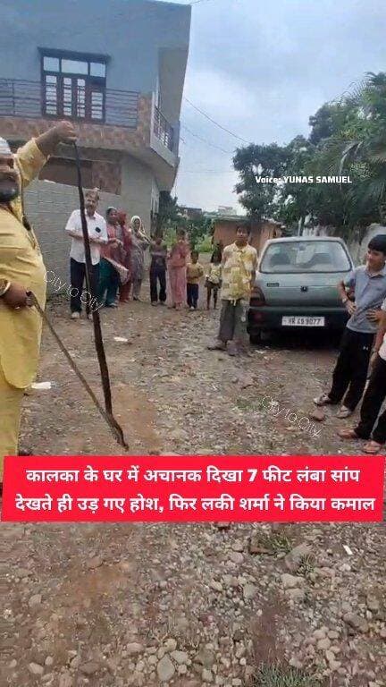 कालका में 7 फीट का सांप, पार्षद के घर मचा हड़कंप, लक्की शर्मा ने बचाया
पार्षद के घर छिपा था 7 फीट का सांप, नजर पड़ते ही मची चीख-पुकार, ऐसे हुआ रेस्क्यू
#kalka #news #haryana #pinjore #panchkula