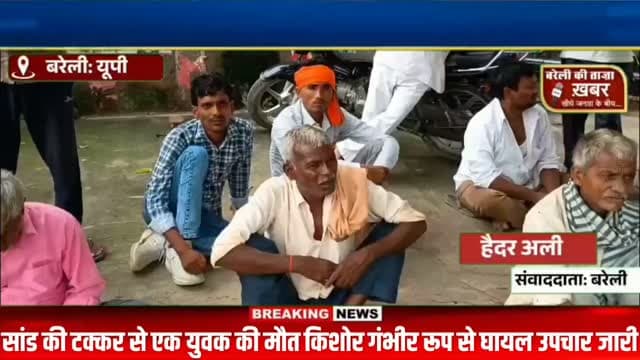 दो सांडों की लड़ाई में एक युवक की मौत एक किशोर गंभीर रूप से घायल अस्पताल में चल रहा है इलाज #viral #flowers #bareilly #up #news