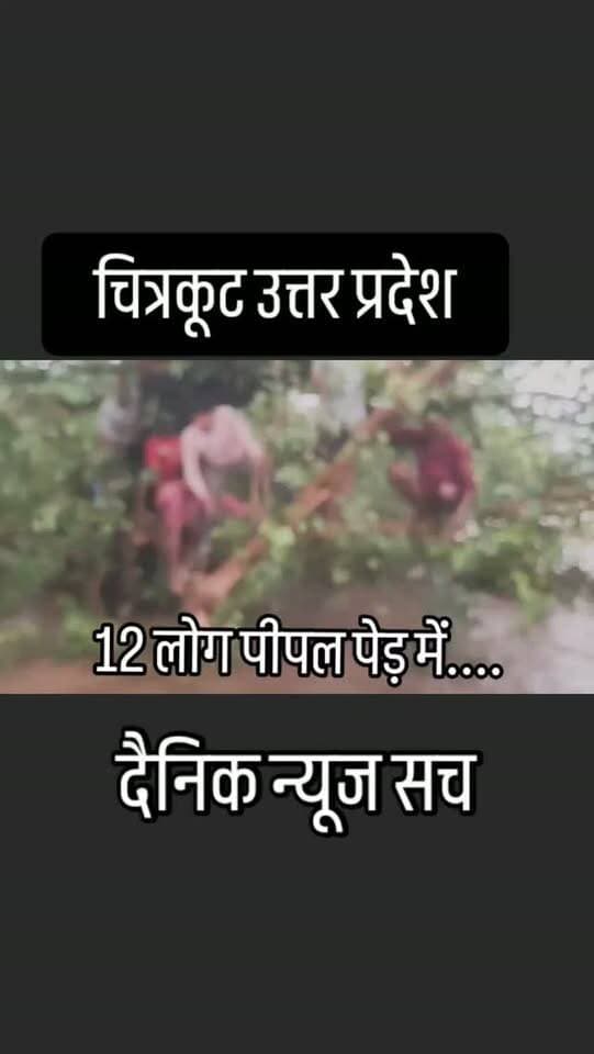 12 लोग पीपल पेड़ में.... #trending #viralreels #dainiknewssach #facebook