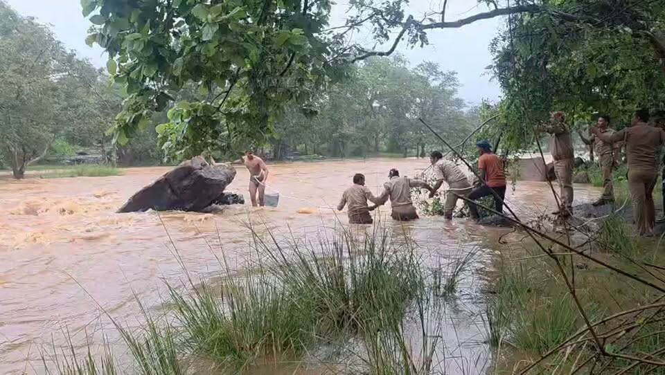 चंदौली के नौगढ़ क्षेत्र में चंद्रप्रभा नदी में अचानक बढ़ा पानी, फंसे तीन युवकों को पुलिस ने सुरक्षित बाहर निकाला #chandaulipolice #news #viralreelsfacebook