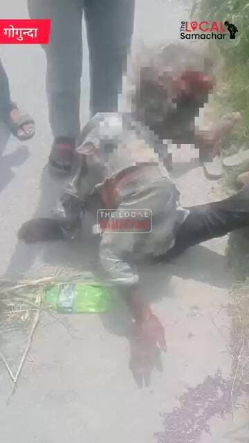 गोगुंदा ओगणा मार्ग पर एक और सड़क हादसा, पिकअप की टक्कर से राहगीर गंभीर घायल