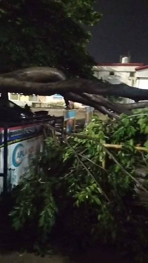 #haridwar : ज्वालापुर रेलवे स्टेशन के पास गिरा विशाल काय पेड़, स्थानीय लोग खोखले पेड़ों को लेकर कई बार कर चुके हैं शिकायत, कभी भी हो सकता है बड़ा हादसा : देखें वीडियो
Haridwar Stambh Vasudev Haridwar Police Uttarakhand Police Nagar Nigam Haridwar Dipr Haridwar नगर निगम क्षेत्र हरिद्वार Kumbh Maha Kumbh Haridwar