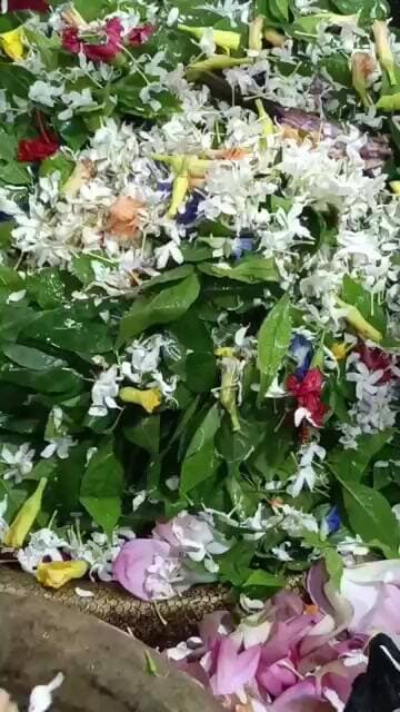 om namahshivaya #sangharsatv