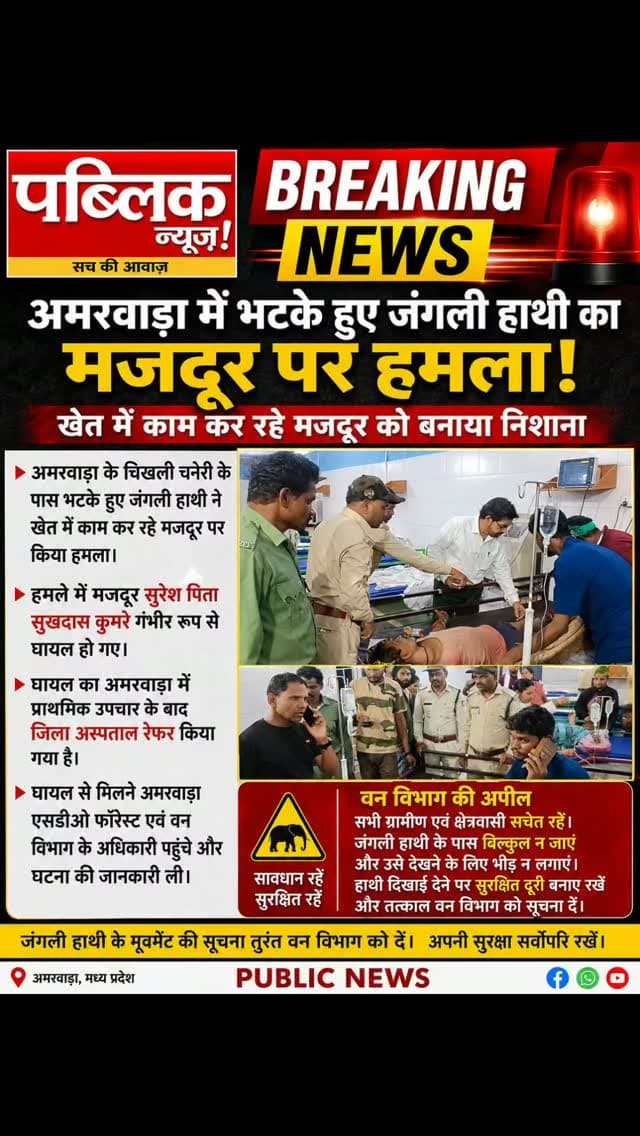 ब्रेकिंगन्यूज़ पब्लिक न्यूज़
अमरवाड़ा चिखली चनेरी के पास भटके हुए जंगली हाथी ने खेत में काम कर रहे मजदूर पर किया हमला मजदूर गंभीर रूप से घायल मजदूर का नाम सुरेश पिता सुखदास कुमरे है जिसका अमरवाड़ा में इलाज के बाद जिला अस्पताल रेफर किया गया है अमरवाड़ा घायल व्यक्ति से मिलने के लिए अमरवाड़ा एसडीओ फॉरेस्ट और वन विभाग के अधिकारी पहुंचे हैं वही अपील की गई है कि सभी लोग सचेत रहें और हाथी के पास ना जाए
#amarwaracity #madhyapradesh #chhindwara #explorepage✨ #viralreelsシ