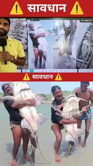 इन मछलियों से दूर रहें #nepal #bihar #fish #today #badh
