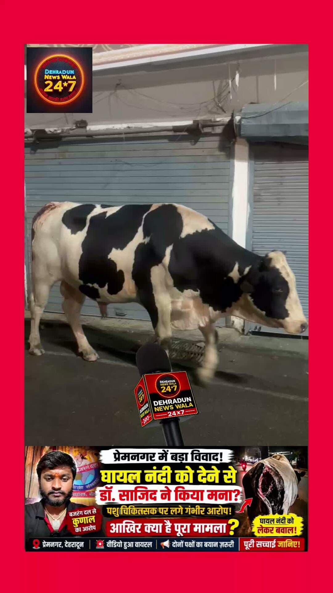 🚨 **प्रेमनगर में पशु चिकित्सक पर गंभीर आरोप!** 🚨
देहरादून के **प्रेमनगर** क्षेत्र में बजरंग दल से जुड़े **कुणाल** ने पशु चिकित्सक **डॉ. साजिद** पर गंभीर आरोप लगाए हैं। कुणाल का आरोप है कि **डॉ. साजिद ने घायल नंदी को देने से मना कर दिया।**
❓ आखिर क्या है पूरा मामला?
❓ घायल नंदी को लेकर विवाद क्यों हुआ?
❓ कुणाल और पशु चिकित्सक के बीच क्या हुआ?
🎥 **मामले का वीडियो सोशल मीडिया पर सामने आया है।**
👉 **हम लगाए गए आरोपों की स्वतंत्र पुष्टि नहीं करते।** दोनों पक्षों का पूरा पक्ष सामने आने के बाद ही तस्वीर स्पष्ट होगी।
📲 **देहरादून की हर बड़ी खबर के लिए पेज को FOLLOW करें और पोस्ट SHARE करें।**
#Dehradun #PremNagar #Uttarakhand #ViralNews #TrendingNow