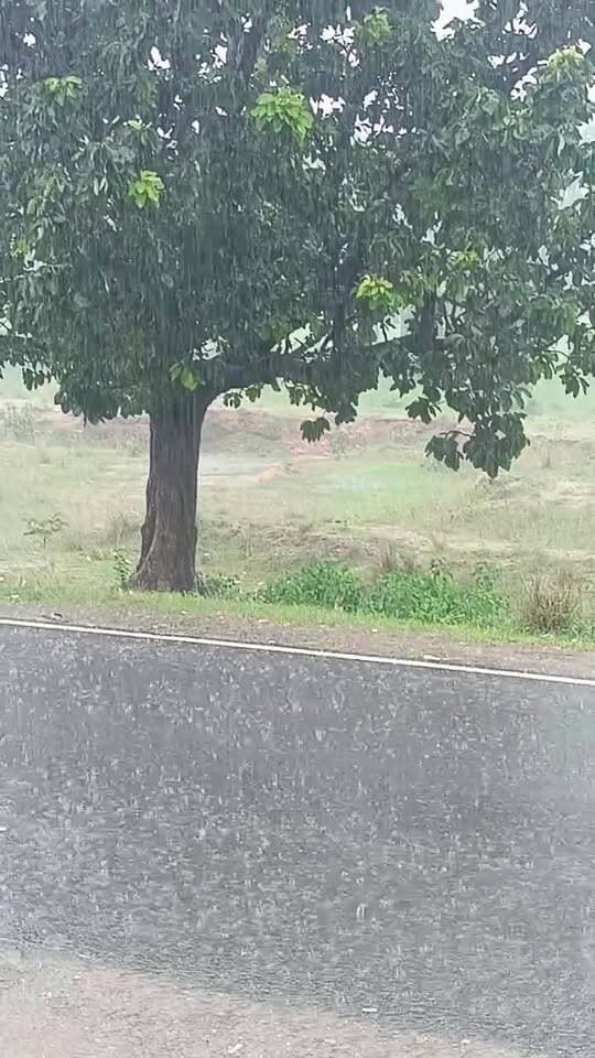 LIVE: সকাল থেকেই টানা বৃষ্টি আড়ষা এলাকায় !