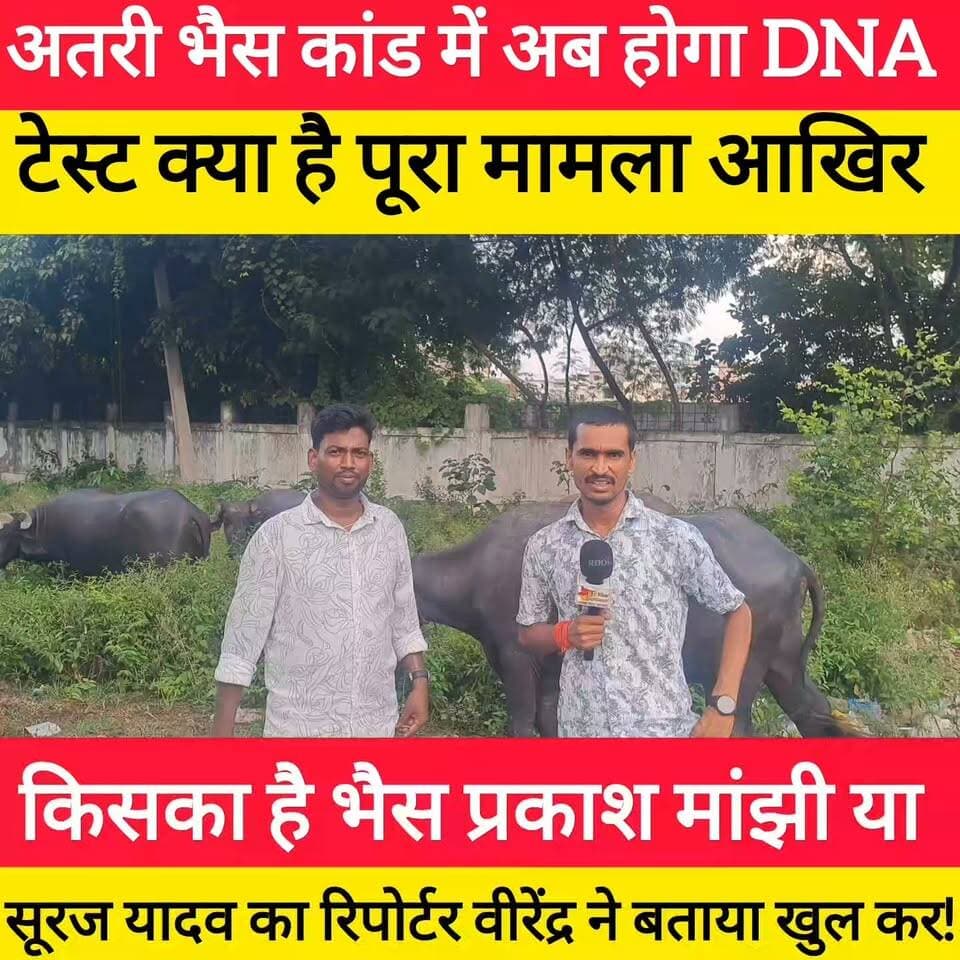 अतरी भैस कांड में अब होगा भैस का DNA टेस्ट अभी तक किसका पलड़ा भारी! #bdbiharjharkhand