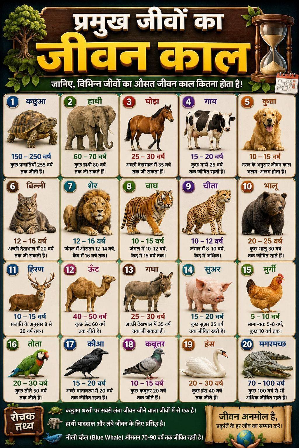 प्रमुख जीवों का जीवनकाल