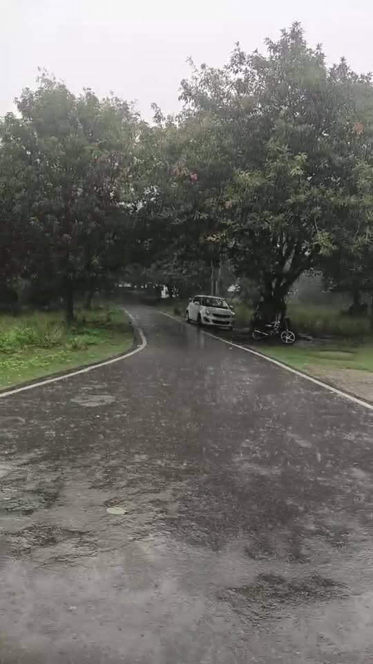 मऊ में झमाझम बारिश
#weather