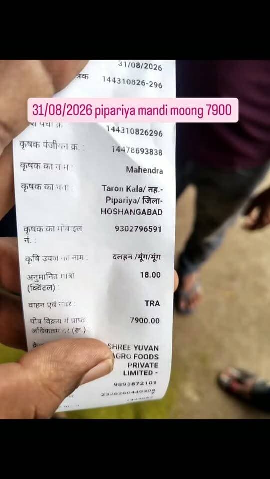 Pipariya mandi 31/08/2026 #viral #mandi #moong