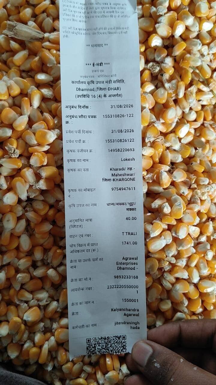 आज धामनोद मंडी में नई मक्का की बंपर 250 से अधिक वाहनों की आवक हुई...
आज मक्का का भाव नमी क्वालिटी अनुसार 1400 से 1890 तक बिकी...
Dhamnod Mandi Bhav - धामनोद मंडी भाव #dhamnodmandibhav #mandinews #makkakabhav #naimakka #makkamandibhav #khetibadi #makkarates