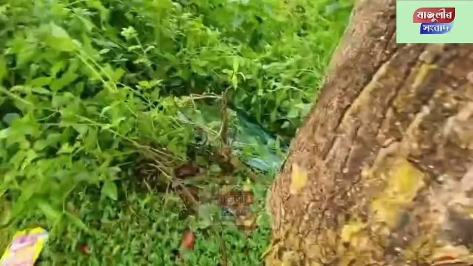 📌 মাজুলী কমলাবাৰীত ভ*য়ং*ক*ৰ দু*ৰ্ঘ*ট*না ----
📌 NLK ROAD, মাজুলী মহাবিদ্যালয়ৰ খেলপথাৰৰ সন্মুখত সংঘটিত এই দূ*ৰ্ঘ*ট*না---
📌দূ*ৰ্ঘ*ট*না*ত পতিত গাড়ী খনৰ নম্বৰ হৈছে AS-29-C-0180----