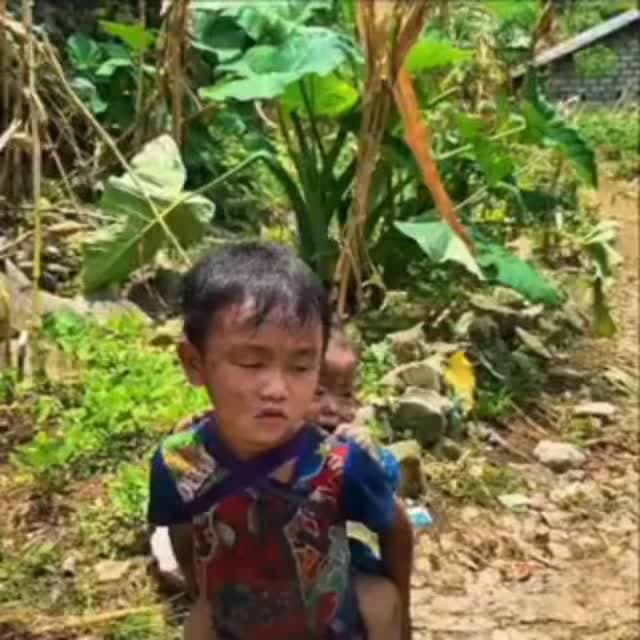 नेपाल में 3 साल का बच्चा 50 घंटे बाद भी सकुशल..!
नेपाल में मां बाप से अलग हुआ बच्चा जंगल में रोते हुए हालत में मिला कुछ चोट के निशान थे..!
जिस पर मां का आशीर्वाद हो उसका जल प्रलय भी कुछ नहीं बिगाड़ सकता...!