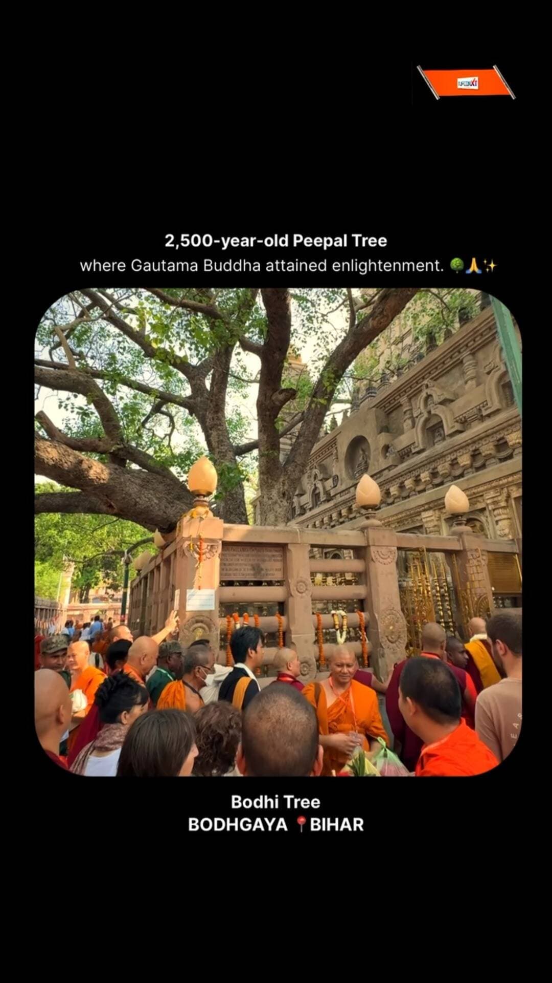 2,500 yrs Old Bodhi Tree | #Bihar
#Bodhgaya