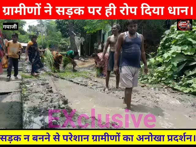 सड़क पर धान रोपकर ग्रामीणों ने सिस्टम हैक कर दिया के अनोखा प्रदर्शन, प्रशासनिक और राजनीतिक महकमे में हलचल। #gayajinews #gurarunews #raunavillage #dmgayaji #mpabhaykushwaha newsbiharnation
