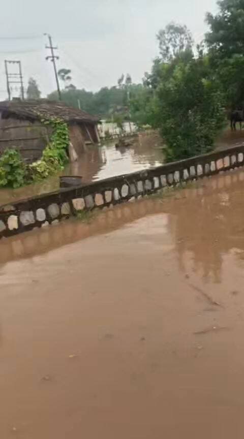 दि सहारनपुर वॉइस/न्यूज़ 7
सच्चाई के साथ हरदम
*👉🏾👉🏾पहाड़ों की मूसलाधार बारिश से मैदानी इलाकों में बढ़ा जलसंकट, कासमपुर में घरों तक पहुंचा पानी!!*
*👉🏾👉🏾तेज बहाव ने बढ़ाई ग्रामीणों की चिंता, प्रशासन ने नदी-नालों और जलभराव वाले क्षेत्रों से दूर रहने की अपील की!!*
*मिर्जापुर/सहारनपुर*
_पहाड़ी क्षेत्रों में लगातार हो रही मूसलाधार बारिश का असर अब मैदानी इलाकों में भी साफ दिखाई देने लगा है। बारिश के चलते कई स्थानों पर जलभराव की स्थिति बन गई है और बरसाती नदियों एवं नालों में पानी का बहाव तेज हो गया है।थाना मिर्जापुर क्षेत्र के ग्राम कासमपुर में भी पानी का स्तर लगातार बढ़ता दिखाई दे रहा है। ग्रामीणों के घरों तक पानी पहुंचने की स्थिति बन गई है। मौके की तस्वीरों में पानी का तेज बहाव साफ नजर आ रहा है, जिससे ग्रामीणों में चिंता का माहौल है।लगातार बारिश के चलते स्थानीय लोगों को जलभराव और तेज बहाव वाले क्षेत्रों में विशेष सावधानी बरतने की जरूरत है। प्रशासन की ओर से लोगों से नदी, नालों और पानी के तेज बहाव वाले क्षेत्रों से दूर रहने की अपील की गई है।प्रशासन द्वारा लोगों से अपील की गई है कि किसी भी तरह का जोखिम न उठाएं और बच्चों व बुजुर्गों को विशेष रूप से पानी वाले क्षेत्रों में जाने से रोकें। किसी आपात स्थिति में तत्काल संबंधित प्रशासनिक अथवा पुलिस अधिकारियों को सूचना दें!!_
