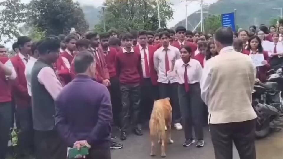 भरसार विश्वविद्यालय में 23 वर्षीय छात्रा की मौत, तबीयत बिगड़ने के बाद समय पर इलाज न मिलने के आरोप
छात्रा की मौत से मचा हड़कंप, साथी छात्रों ने विश्वविद्यालय प्रशासन पर लगाए लापरवाही के गंभीर आरोप