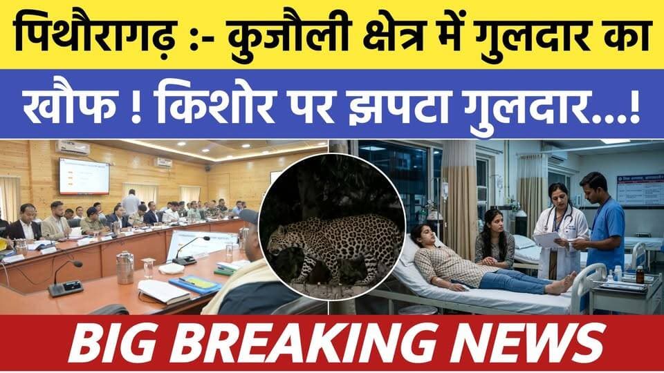 Pithoragarh news :- рдХреБрдЬреМрд▓реА рдХреНрд╖реЗрддреНрд░ рдореЗрдВ рдЧреБрд▓рджрд╛рд░ рдХрд╛ рдЖрддрдВрдХ , рдХрд┐рд╢реЛрд░ рдкрд░ рдорд╛рд░рд╛ рдЭрдкрдЯреНрдЯрд╛ | Soar samachar