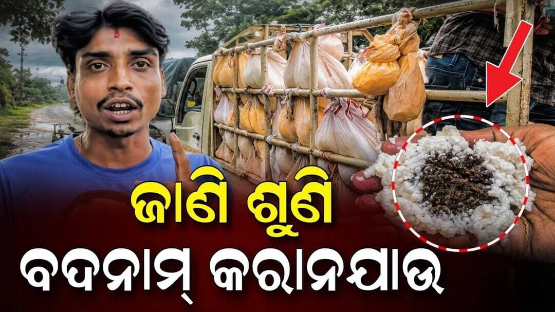 ଛେନାକୁ ନେଇ ଆମ ଅଞ୍ଚଳକୁ ଜାଣିଶୁଣି ବଦନାମ୍ କରିଦେଲେ!! | Niali Chhena | Niali News | Kataka