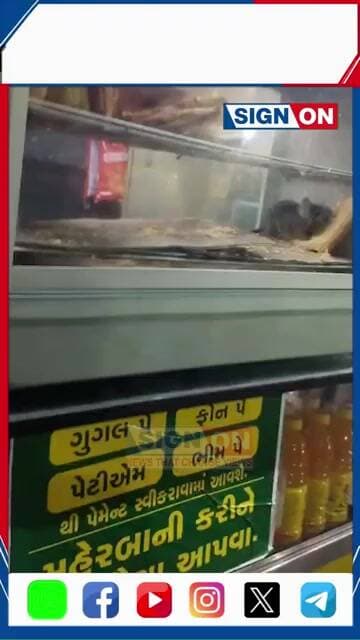 খাদ্যৰ নামক বৰবিহ! ৰে’লৱে ষ্টেচনৰ কেন্টিনত নিগনিৰ বিচৰণ