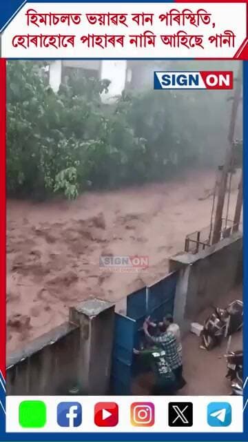 হিমাচলত ভয়াৱহ বান পৰিস্থিতি, হোৰাহোৰে পাহাৰৰ নামি আহিছে পানী #himachal #flood #signon