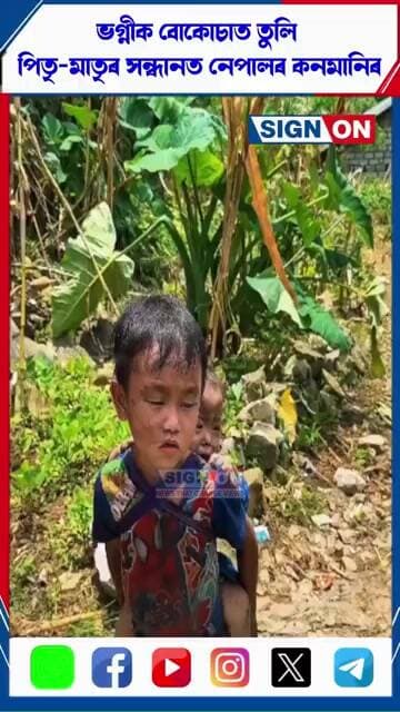 ভগ্নীক বোকোচাত তুলি পিতৃ-মাতৃৰ সন্ধানত নেপালৰ কনমানিৰ #nepalflood #signon
