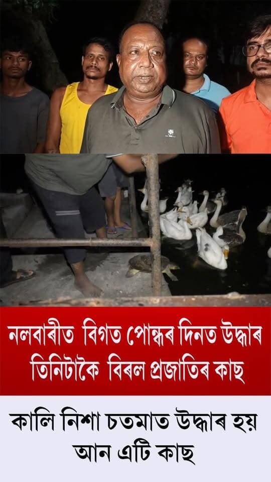 ⭕নলবাৰীত বিগত পোন্ধৰ দিনত উদ্ধাৰ তিনিটাকৈ বিৰল প্ৰজাতিৰ কাছ
⭕কালি নিশা চতমাত উদ্ধাৰ হয় আন এটি কাছ
⭕ নলবাৰী আঞ্চলিক বন বিষয়া দিনেশ দাস আৰু বনপালক আলাউদ্দিন আহমেদৰ নেতৃত্বত জিলাখনৰ বিভিন্ন প্ৰান্তৰ পৰা কাছ কেইটা উদ্ধাৰ কৰি নলবাৰী বিল্বেশ্বৰ দেৱালয় আৰু বালিলেছা কালী দেৱালয়ৰ পুখুৰীত এৰি দিয়ে।
#nalbari
#forest
#tortoise
#recovery
#axombroadcast24