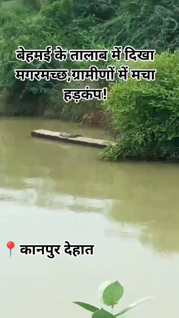 कानपुर देहात। बेहमई गांव में जूनियर हाईस्कूल के सामने स्थित तालाब में विशाल मगरमच्छ दिखाई देने से ग्रामीणों में हड़कंप मच गया। ग्रामीण युवा नेता बाबूजी सिंह चंदेल ने बताया कि सोमवार सुबह विद्यालय पहुंचे विद्यार्थियों ने तालाब में मगरमच्छ को घूमते हुए देखा। मगरमच्छ दिखाई देने पर विद्यार्थियों ने शोर मचाया, जिसके बाद आसपास के ग्रामीण मौके पर एकत्र हो गए।
मगरमच्छ की मौजूदगी से ग्रामीणों और विद्यालय आने-जाने वाले विद्यार्थियों में भय बना हुआ है। ग्रामीणों के अनुसार मामले की सूचना वन विभाग को दे दी है। ग्रामीणों ने वन विभाग से मगरमच्छ को सुरक्षित पकड़कर तालाब से हटाने की मांग की है।