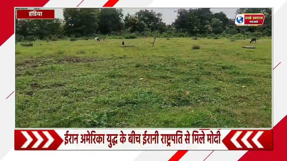 चिराखान गौ धाम मे 14 महीने मे मात्र एक बार ही मिला दाना #shortvideo #हरदा_मध्यप्रदेश❣️ #HARDA #trand #MadhyaPradesh #viralreel #viralvi
