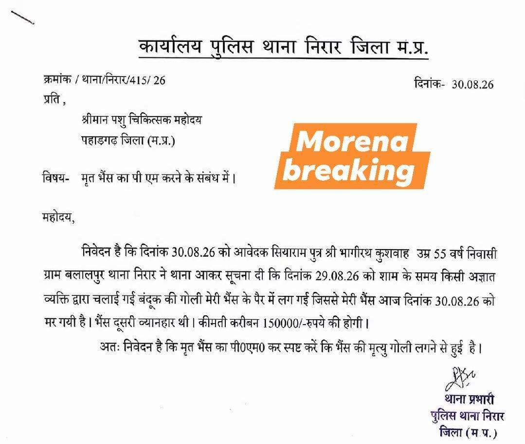 बंदूक की गोली लगने से भैंस की मौत, पशु चिकित्सक से पीएम कराने की मांग
मुरैना | निरार थाना क्षेत्र
निरार थाना क्षेत्र के ग्राम बलालपुर निवासी सियाराम पुत्र भागीरथ कुशवाह ने पुलिस को दिए आवेदन में बताया कि 29 अगस्त की शाम किसी अज्ञात व्यक्ति द्वारा चलाई गई बंदूक की गोली उनकी भैंस के पैर में जा लगी। गोली लगने के बाद भैंस की हालत बिगड़ गई और 30 अगस्त को उसकी मौत हो गई।
आवेदन के अनुसार मृत भैंस की अनुमानित कीमत करीब 1.50 लाख रुपये बताई गई है। भैंस के दूसरी बार ब्याने की बात भी आवेदन में उल्लेखित है।
सियाराम ने थाना निरार को दिए आवेदन में पशु चिकित्सक से मृत भैंस का पोस्टमार्टम (पीएम) कराने की मांग की है, ताकि यह स्पष्ट हो सके कि भैंस की मृत्यु बंदूक की गोली लगने से हुई है या नहीं।
पुलिस द्वारा मामले की जांच की जा रही है।