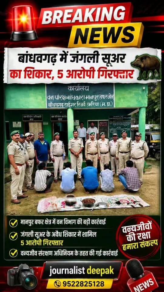 💥 बांधवगढ़ में जंगली सूअर के अवैध शिकार पर बड़ी कार्रवाई!
मानपुर बफर क्षेत्र में वन विभाग ने कार्रवाई करते हुए 5 आरोपियों को गिरफ्तार किया है। आरोपियों के खिलाफ वन्यजीव संरक्षण अधिनियम के तहत प्रकरण दर्ज कर आगे की कार्रवाई की जा रही है।
वन्यजीवों के अवैध शिकार के खिलाफ वन विभाग की सख्त कार्रवाई जारी।
📍 बांधवगढ़ | उमरिया | मध्य प्रदेश
#Bandhavgarh #BandhavgarhTigerReserve #Umaria #MadhyaPradesh #BreakingNews WildlifeCrime ForestDepartment HindiNews WildlifeProtection Manpur JournalistDeepak UmariaAlert