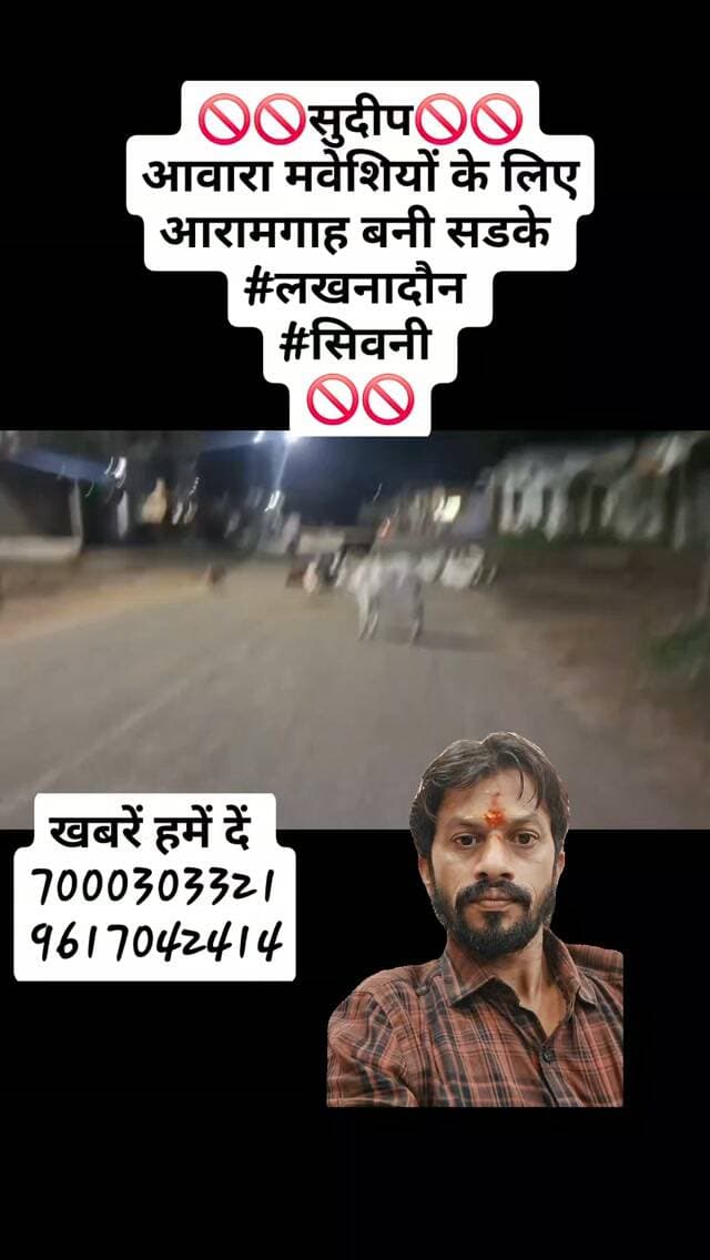 🚫🚫सुदीप🚫🚫
आवारा मवेशियों के लिए आरामगाह बनी सडके
#लखनादौन
#सिवनी
🚫🚫#reelsinstagram #followers